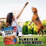 Chicken Jerky Dog Treats 1.5 Lb Human Grade Pet Snacks Grain Free - Image 7