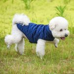Dogs Winter Warm Vest - Image 6
