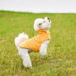 Dogs Winter Warm Vest - Image 7