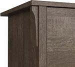 Bush Furniture Salinas 2 Drawer Lateral File Cabinet in Ash Brown - Image 8